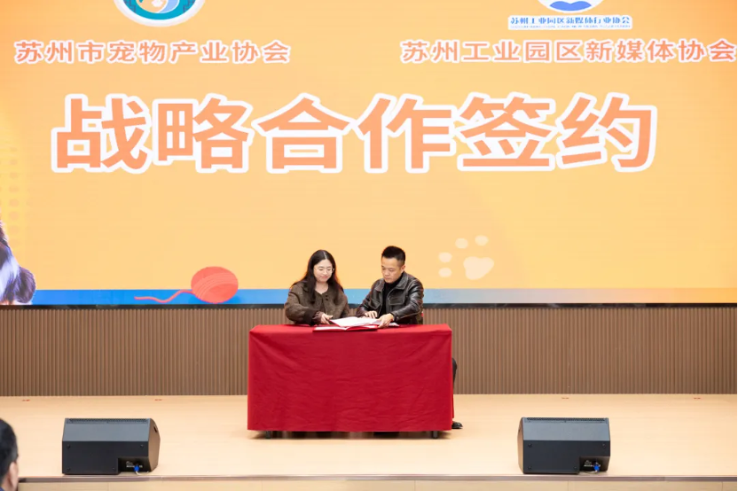 图片 8.png